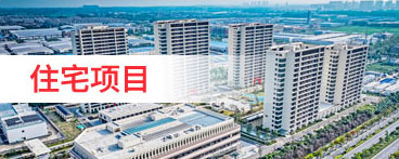 桃花江竹材榮譽(yù)