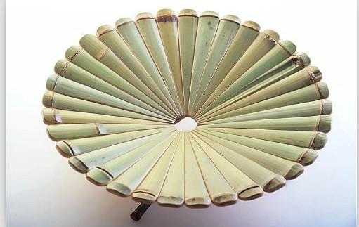 竹產(chǎn)業(yè)復合開發(fā)產(chǎn)生裂變效應